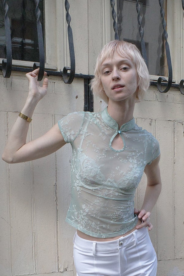 Hazy Spring Chinese Qipao Top